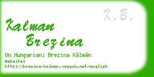 kalman brezina business card
