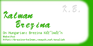 kalman brezina business card